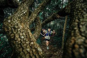 BIB: 
                            <button type="button" onclick="openModal(25698288)" class="btn btn-primary btn-sm float-right btn-popup" data-toggle="modal" data-target=".modal-high-quality">
                        <i class="fas fa-shopping-cart"></i> Add to Cart
                    </button>
                                            <button type="button" onclick="isThisMe(25698288, true)" class="btn btn-success btn-sm float-right btn-popup btn-isme hidden" data-toggle="tooltip" data-placement="bottom" title="นี่คือรูปของคุณใช่ไหม คลิกที่นี่เพื่อเอาเข้าอัลบั้ม">
                        <i class="fas fa-plus"></i> Add to album
                    </button>
                    <button type="button" onclick="isThisMe(25698288, false)" class="btn btn-warning btn-sm float-right btn-popup btn-isnotme hidden">
                        <i class="fas fa-ban"></i> Remove from album
                    </button>